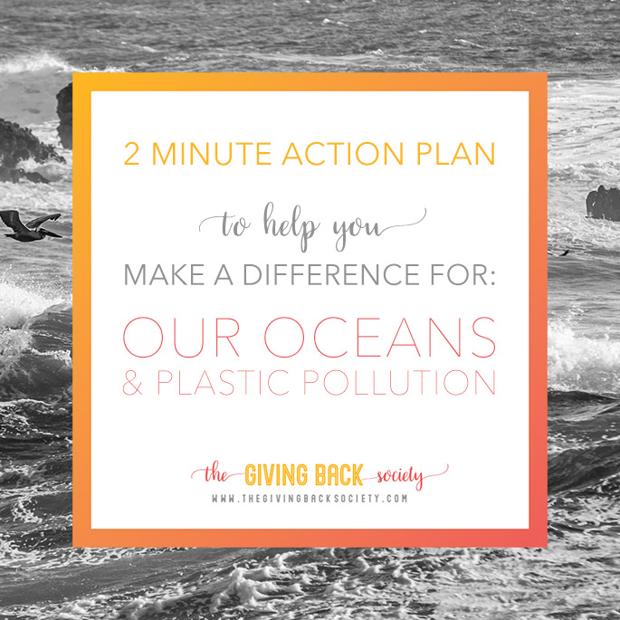 The Giving Back Society is Helping to Prevent Plastic Pollution in our Oceans