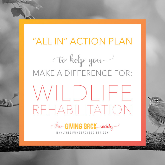 Become a Wildlife Rehabilitator | The Giving Back Society