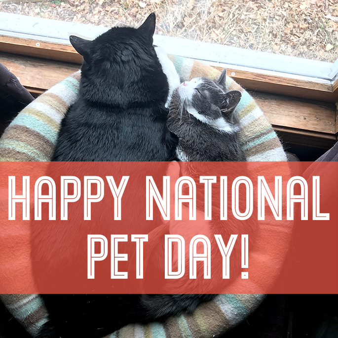 National Pet Day | Animal Rescue | Giving Back | The Giving Back Society