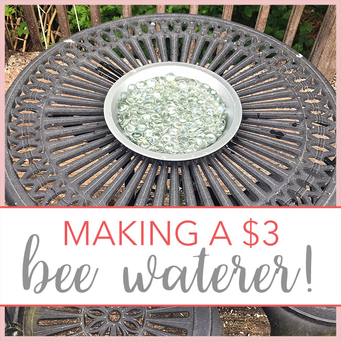 Bee Waterer for $3 by The Giving Back Society
