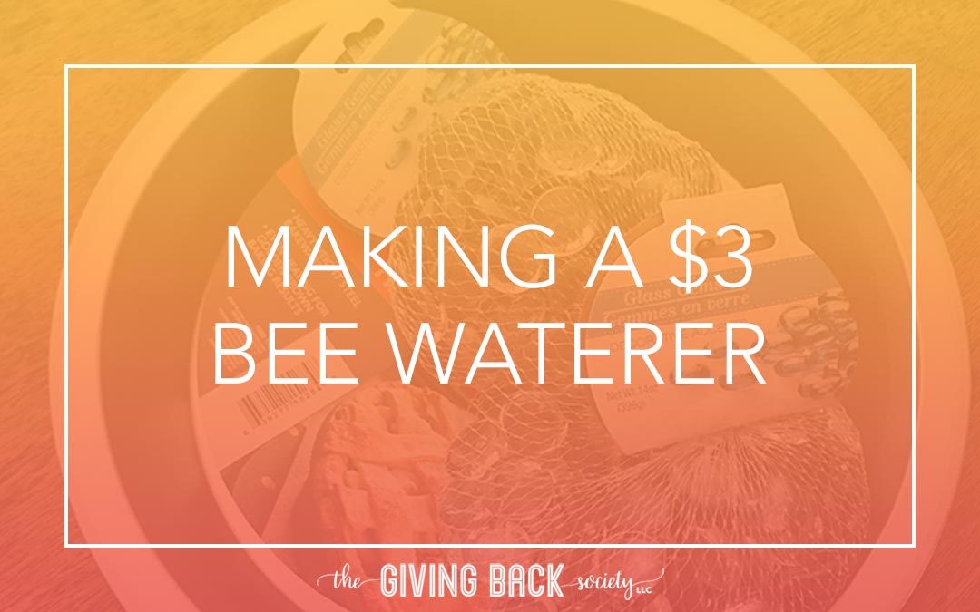 MAKING A $3 BEE WATERER