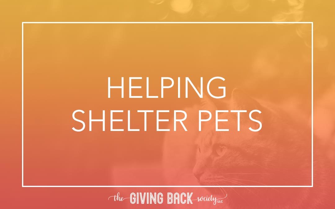 HELPING SHELTER PETS