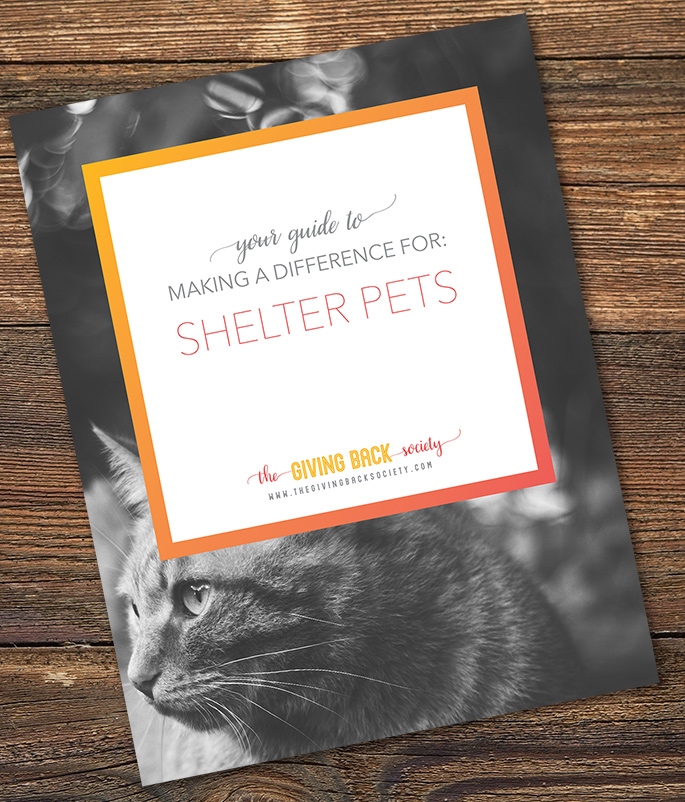 The Giving Back Society | How to Help Shelter Pets and Save Lives