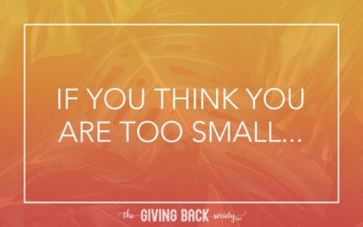 IF YOU THINK YOU ARE TOO SMALL