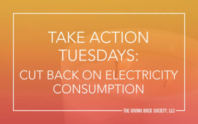Take Action Tuesday: Cut Back on Electricity Consumption