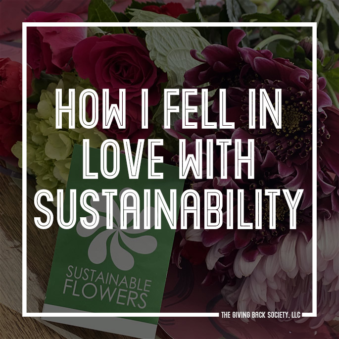 How I fell in love with sustainability