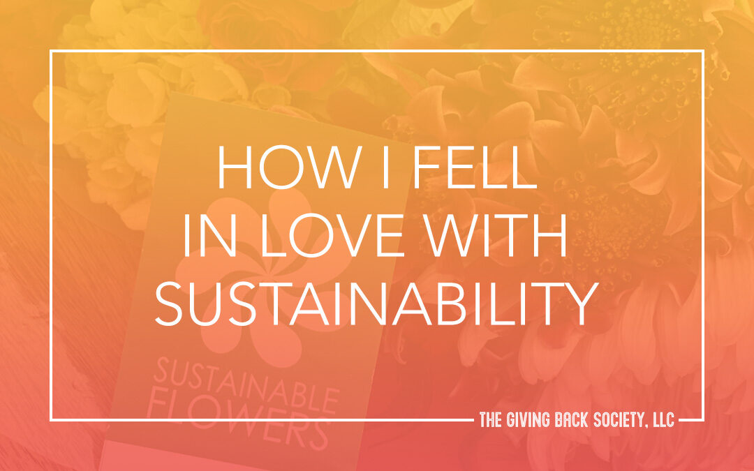 How I Fell in Love with Sustainability